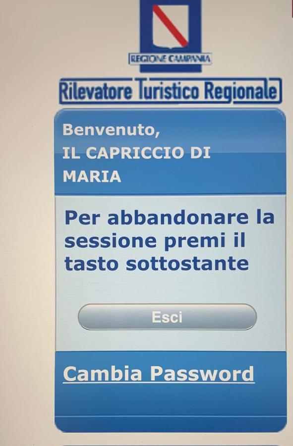 Il Capriccio Di Maria guest house Vietri Extérieur photo